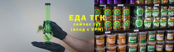 стаф Арсеньев
