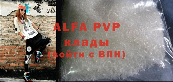 стаф Арсеньев