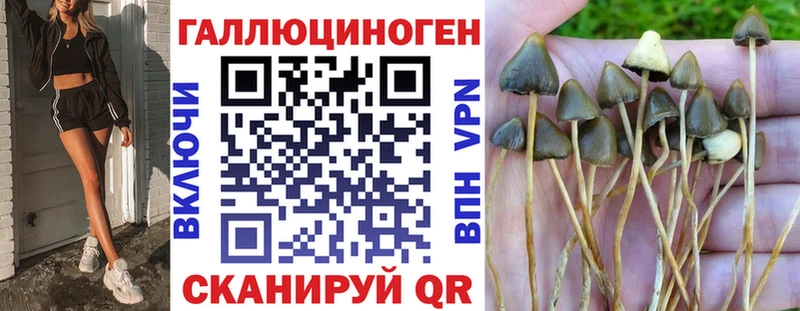 Галлюциногенные грибы прущие грибы  Талица 